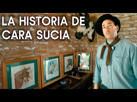 Dirty Face: the horse that changed Amílcar's life