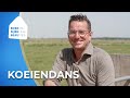 Koeien op ZORGBOERDERIJ mogen EINDELIJK naar buiten! ?? | Boeren, Bijbels en Beauties