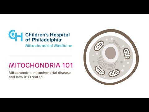 Mitochondrial Disease | Children