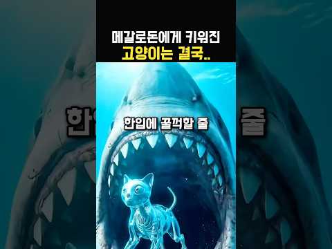 메갈로돈이 키운고양이의 운명
