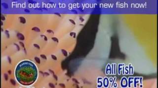 Marine Fish & Reef Store
