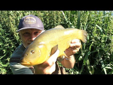 Tench fishing and some tinkering did the trick