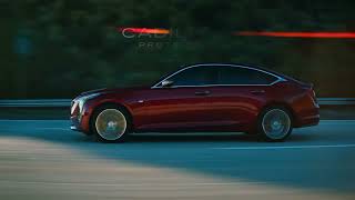Cadillac Protection - Protection Plan