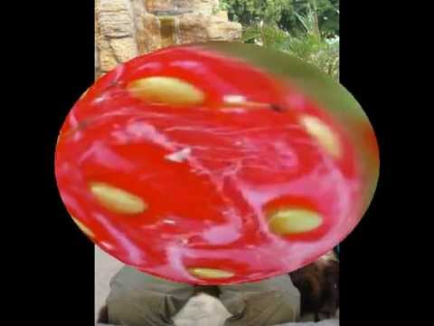 Richard Sacher - Jahody mražený