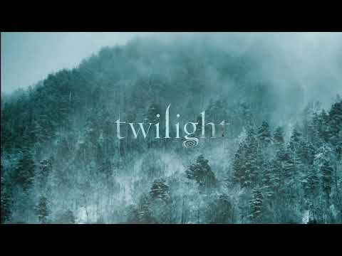 a nostalgic twilight comfort playlist (instrumentals + rain ambience)