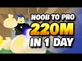 Made 220M Coins in 1 Day on Alt in Roblox Islands - Noob to Pro Series