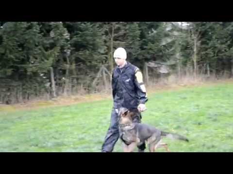 CHARLIE z údolí Úpy