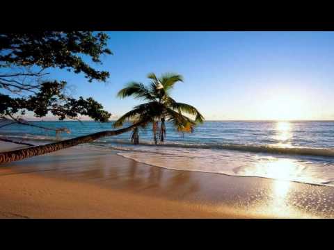 Chocolate Infusion - M.I.K.E. Pres. Plastic Boy (Original Mix) HD.wmv