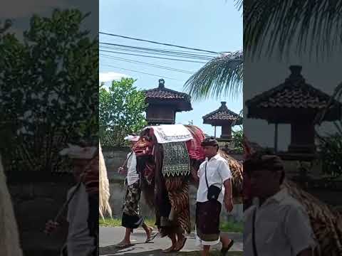 SESUHUNAN RING DESA SIDAN //MEWALI BUDAL KE PAYONGAN IDA SUANG SUANG\\ #shorts #shortsvideo