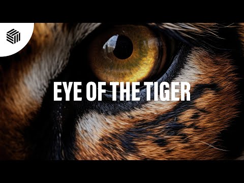Nic Johnston, MeSSy & Max Niklas - Eye Of The Tiger