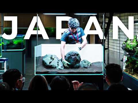 Building the Perfect Nature Aquarium in Japan | Yusuke Homma Masterclass