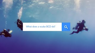 What Does A Scuba BCD Do?