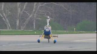 Little Wing "Woodstock" In Flight