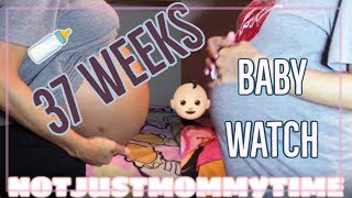 37 WEEK PREGNANCY UPDATE // BABY WATCH // BUMPSHOT