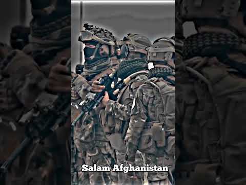 Afghan Taliban Organized #shorts #viral #viralvideo #trending #taliban