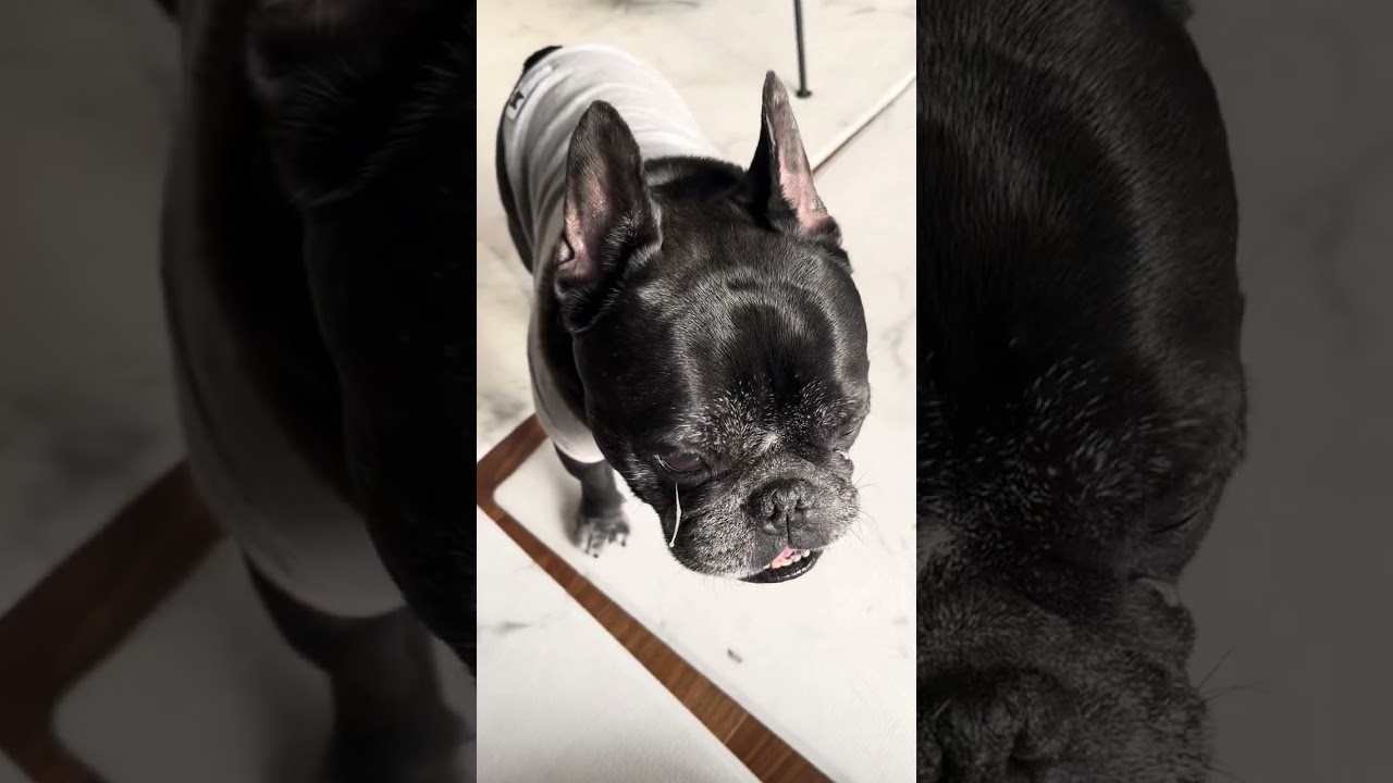 フレブルさん、顔に何付けてるんですか？