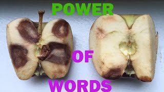 The Power Of Words + Jovanka Ciares