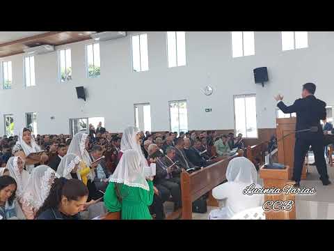 Hino 316-Tua vida é triste? (Ensaio regional CCB Cafelândia PR) #ensaioccb #hinosccb #ccb