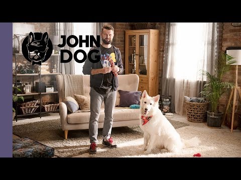 Sztuczka PRZYNIEŚ – TRENING PSA – John Dog