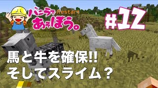 【うりクラ】#12 馬と牛の捕獲作戦！スライムチャンクの準備【マインクラフト】