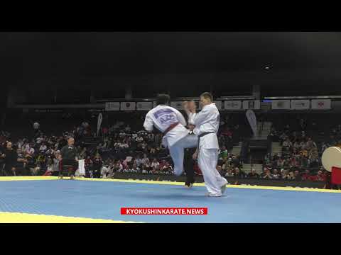 WKO EC 2019, 1/8 -85 Yasir Mammadov (Azerbaijan, aka) - Vytautas Cepla (Lithuania)