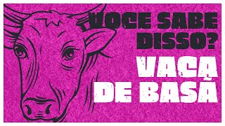 MULHERES COMPARADAS A VACA DE BASÃ