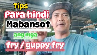 TIPS PARA HINDI MABANSOT ANG MGA FRY