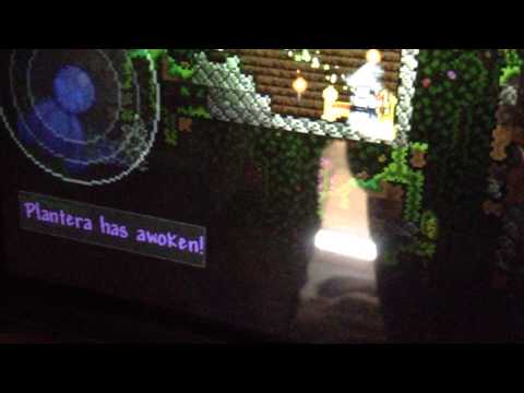 How to summon and defeat plantera