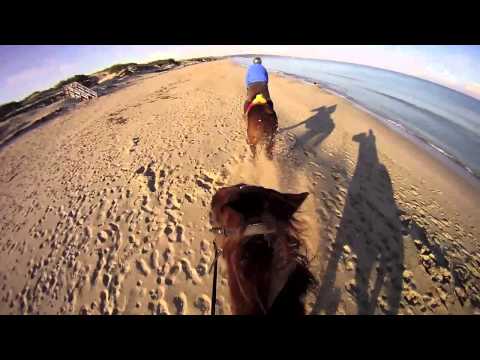 Galoppo in spiaggia 17/02/2013