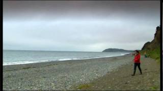 preview picture of video 'Coast in Wicklow.wmv'