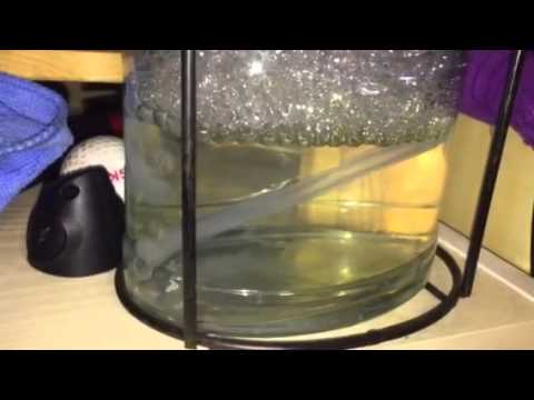 English Barley wine fermentation