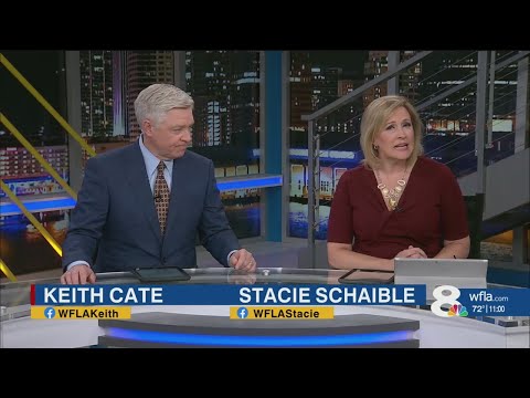 Cleanup underway after EF-1 Tornado causes damage in Sarasota