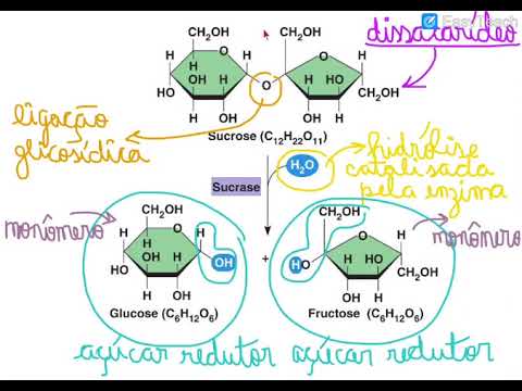 ENEM 2020 - Prova Azul - Questão 96 - Premonição UNIFESP 2022