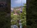 Vacation Tour Parambikulam Shortvideo Youtube Shifa Safa