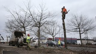 Eugene West EmX construction begins