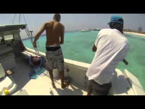 GoPro : Catching jacks with live sardines , on the Desperado .enjoying life on Klein Curacao