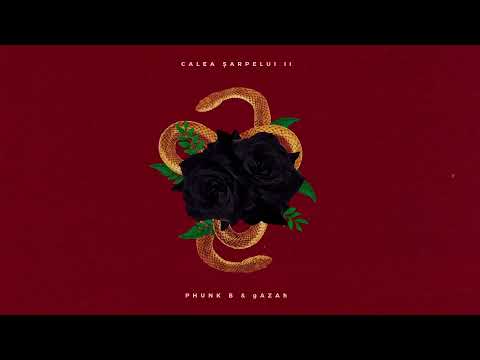 Phunk B & gAZAh - Drumul Fumului (cu DJ FLU)