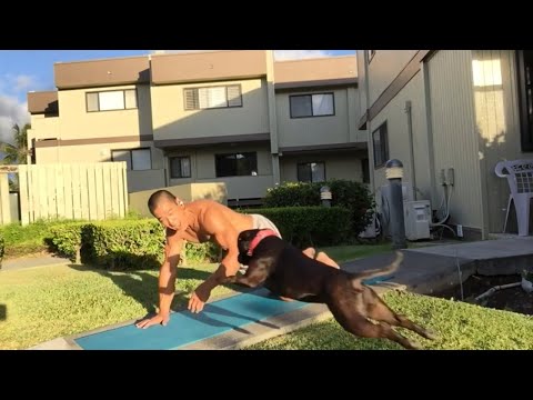 Day 100 - Post Workout Stretches-Front Split, Pigeon, Pua, Camel-August 16, 2020 6:07 pm