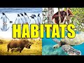 ANIMAL HABITATS Learn About Grasslands Forests Tundra Desert Rainforest Mountains Oceans
