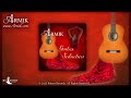 Guitar Seduction by Armik Music Samples (Spanish Guitar)