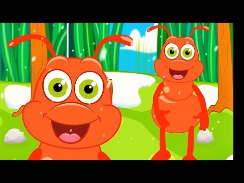 Karınca Çocuk Şarkısı -Onur Erol- Karamela Sepeti Çocuk Şarkıları