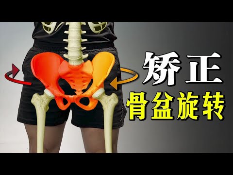 屁股大小