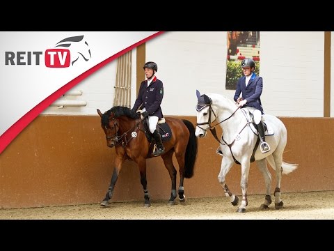 Reiten lernen: Die Bahn- und Vorfahrtsregeln - So verhindert Ihr Zusammenstöße