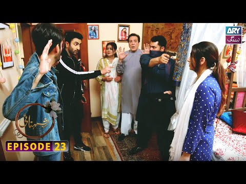 Shehnai Episode 23 | Affan Waheed | Ramsha Khan | ARY Zindagi
