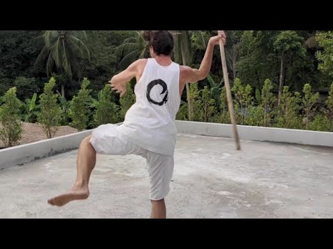 When weapons learn to fly | Kalari DISSECTED 17th CUT