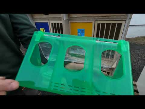 Boksy rozpłodowe z płyty meblowej – realizacja dla Pana Szczepana z Pikulic