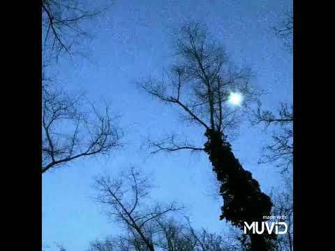 Congo Natty feat. Peter Bouncer - Junglist (S.P.Y. Remix)