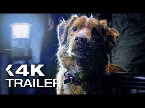 GOOD BOY Official Trailer (2025)