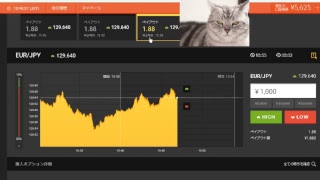 【FX】1万円から始める為替取引【BO】3