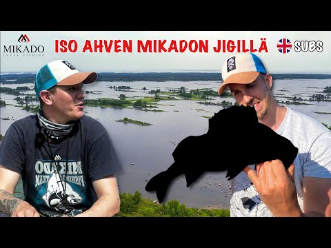 JIGAUSTA VAASAN SUURAHVEN VESILLÄ | Feat. Jani Haavisto